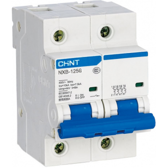 Автоматический выключатель CHINT NXB-125 2P 100A 10кА х-ка D (R)