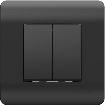 Переключатель 2-клавишный CHINT NEW3-E, 10А, черный