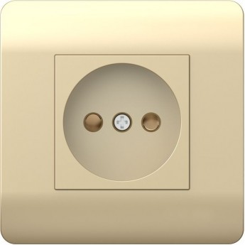 Розетка б/з со шторками CHINT NEW3-E, 16А, шампань Розетка б/з со шторками CHINT NEW3-E, 16А, шампань