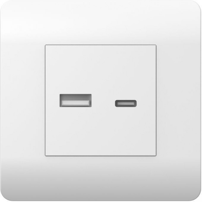 Розетка CHINT NEW3-E USB A+С, 5В/2,1А, белый 431551 Розетка CHINT NEW3-E USB A+С, 5В/2,1А, белый 431551