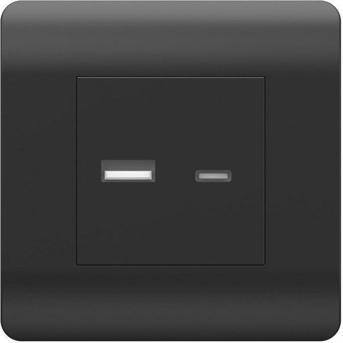 Розетка CHINT NEW3-E USB A+С, 5В/2,1А, черный 431501 Розетка CHINT NEW3-E USB A+С, 5В/2,1А, черный 431501