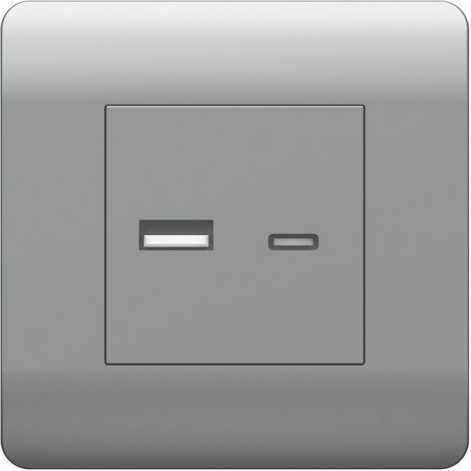 Розетка CHINT NEW3-E USB A+С, 5В/2,1А, серебряный 431451 Розетка CHINT NEW3-E USB A+С, 5В/2,1А, серебряный 431451