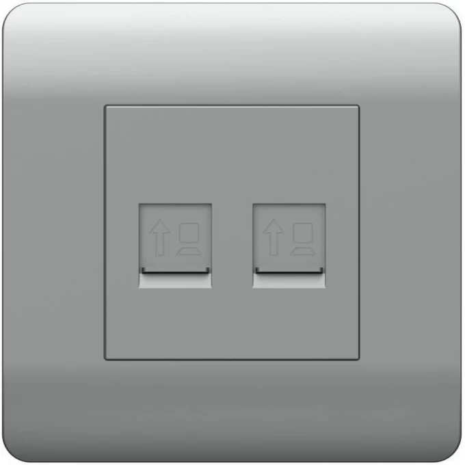 Розетка компьютерная 2хRJ45 CHINT NEW3-E, серебряный 431456 Розетка компьютерная 2хRJ45 CHINT NEW3-E, серебряный 431456