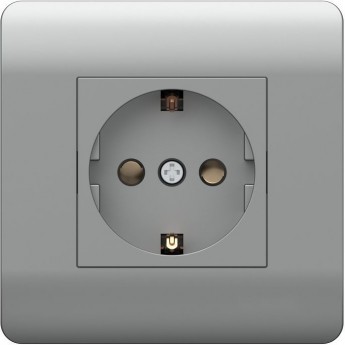 Розетка с/з со шторками CHINT NEW3-E, 16А, серебряный Розетка с/з со шторками CHINT NEW3-E, 16А, серебряный