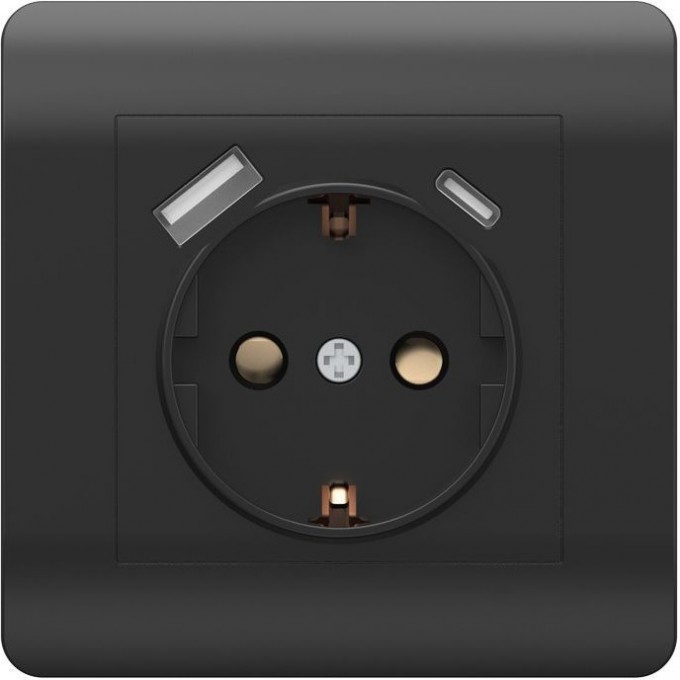 Розетка с/з со шторками CHINT NEW3-E, 16А+ USB двойная A+С, 5В/2,1А, черный 431502 Розетка с/з со шторками CHINT NEW3-E, 16А+ USB двойная A+С, 5В/2,1А, черный 431502
