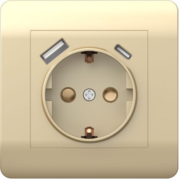 Розетка с/з со шторками CHINT NEW3-E, 16А+ USB двойная A+С, 5В/2,1А, шампань 431453 Розетка с/з со шторками CHINT NEW3-E, 16А+ USB двойная A+С, 5В/2,1А, шампань 431453