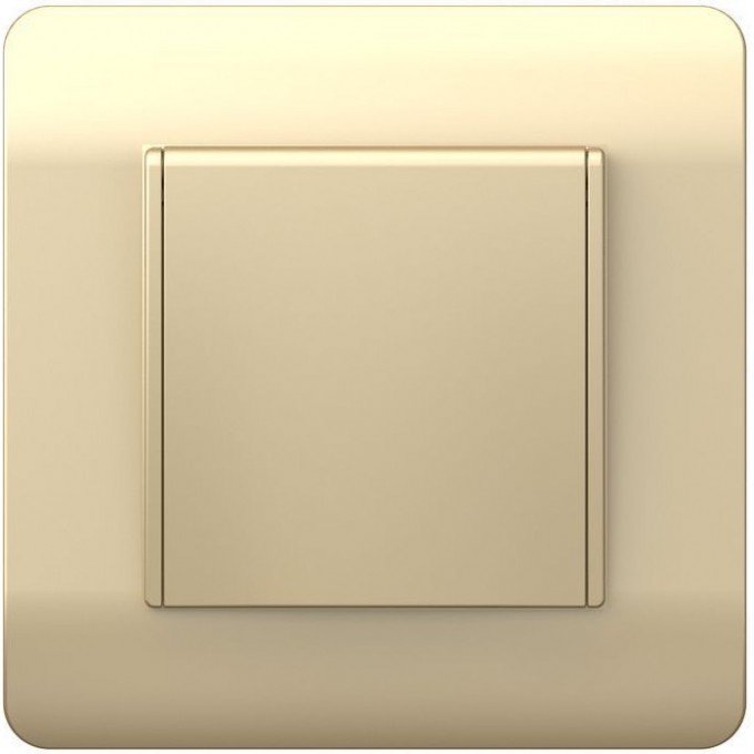 Розетка с/з со шторками с крышкой CHINT NEW3-E, 16А, IP44, шампань 431448 Розетка с/з со шторками с крышкой CHINT NEW3-E, 16А, IP44, шампань 431448