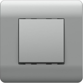 Выключатель 1-клавишный без фиксации CHINT NEW3-E, 10А, серебряный Выключатель 1-клавишный без фиксации CHINT NEW3-E, 10А, серебряный